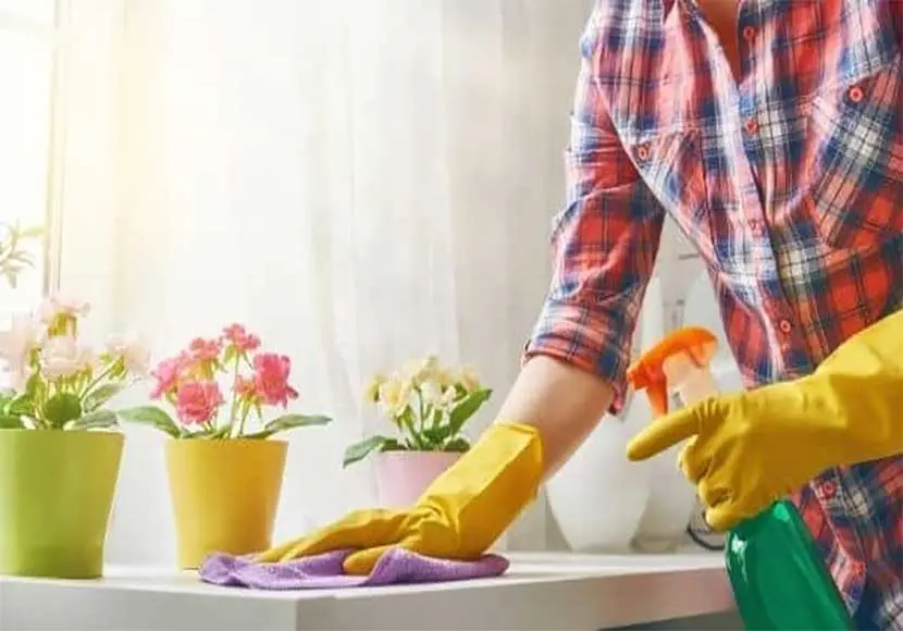 افضل مكاتب الاستقدام في تبوك طبقا لمساند